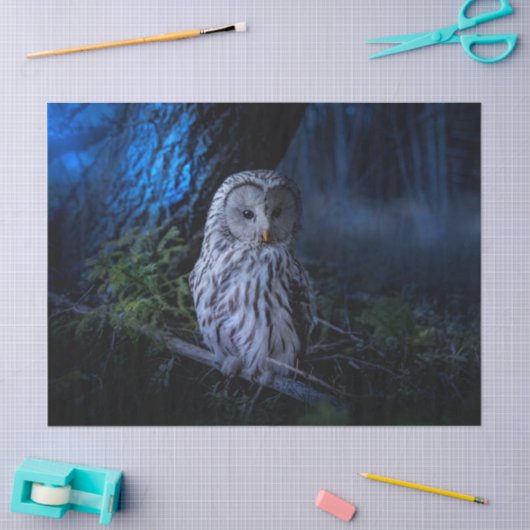 Snowy Owl bij nacht Tissuepapier (Craft)