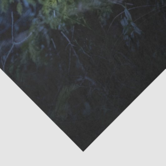 Snowy Owl bij nacht Tissuepapier (Detail)