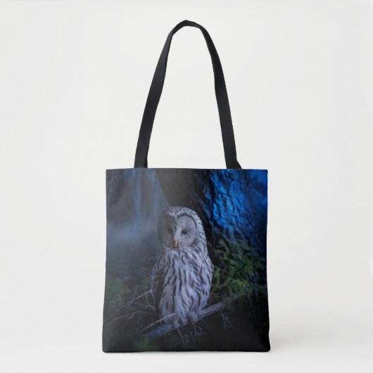 Snowy Owl bij nacht Tote Bag (Voorkant)
