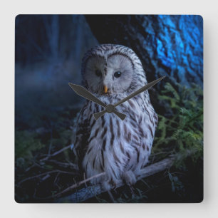 Snowy Owl bij nacht Vierkante Klok
