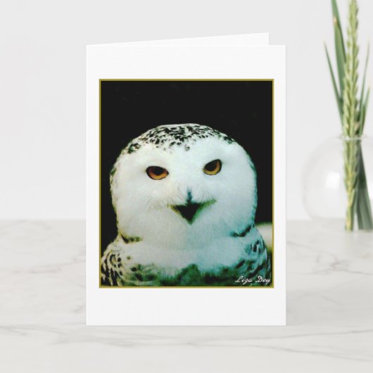 Snowy Owl Blank Wenskaart Feestdagen Kaart (Voorkant)