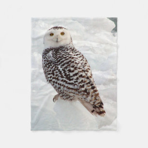Snowy Owl blanket Fleece Deken