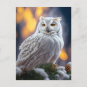 Snowy Owl Briefkaart (Voorkant)