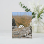 Snowy Owl Briefkaart (Staand voorkant)