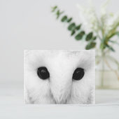 Snowy Owl Briefkaart (Staand voorkant)
