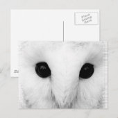Snowy Owl Briefkaart (Voorkant / Achterkant)