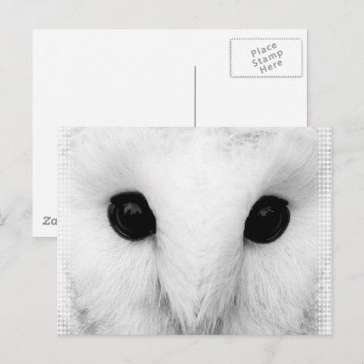 Snowy Owl Briefkaart (Voorkant / Achterkant)