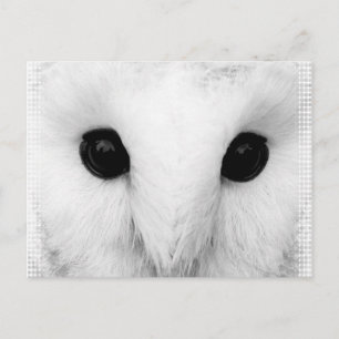 Snowy Owl Briefkaart