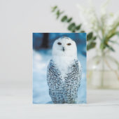 Snowy Owl Briefkaart (Staand voorkant)