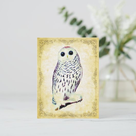 Snowy Owl Briefkaart (Staand voorkant)