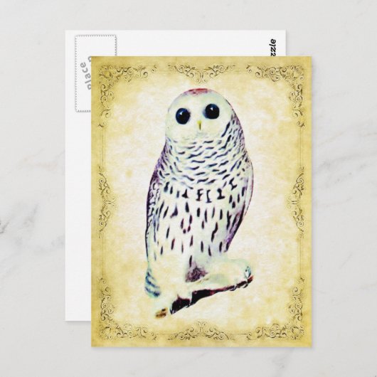 Snowy Owl Briefkaart (Voorkant / Achterkant)