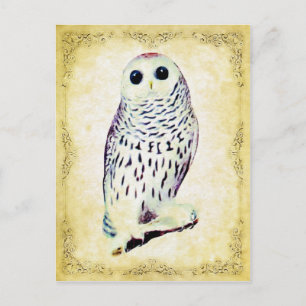 Snowy Owl Briefkaart