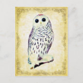 Snowy Owl Briefkaart (Voorkant)