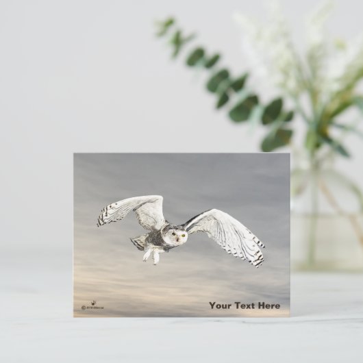 Snowy Owl Briefkaart (Staand voorkant)
