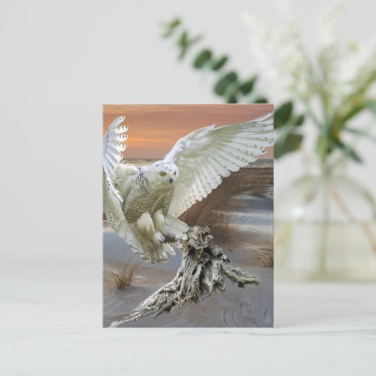 Snowy Owl Briefkaart (Staand voorkant)