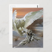 Snowy Owl Briefkaart (Voorkant / Achterkant)