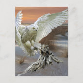 Snowy Owl Briefkaart (Voorkant)