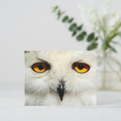 Snowy Owl Briefkaart (Staand voorkant)