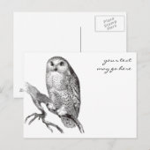 Snowy Owl Briefkaart (Voorkant / Achterkant)