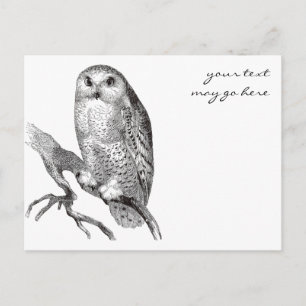 Snowy Owl Briefkaart