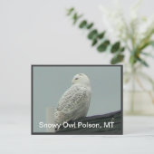 Snowy Owl Briefkaart (Staand voorkant)