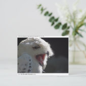 Snowy owl. briefkaart (Staand voorkant)