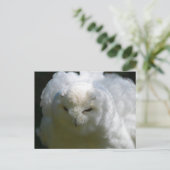 Snowy Owl Briefkaart (Staand voorkant)