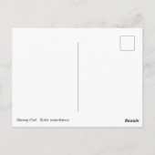 Snowy Owl Briefkaart (Achterkant)