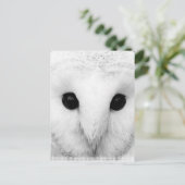 Snowy Owl Briefkaart (Staand voorkant)