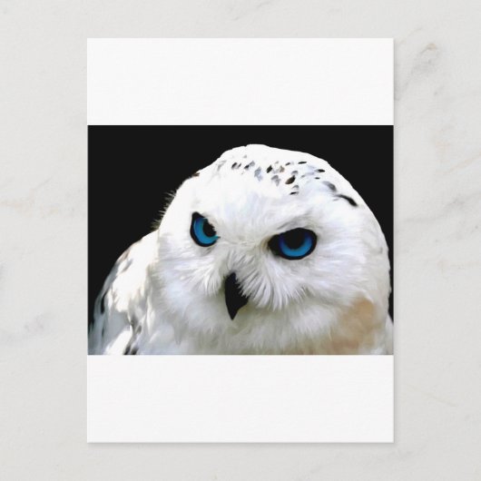 Snowy Owl Briefkaart (Voorkant)