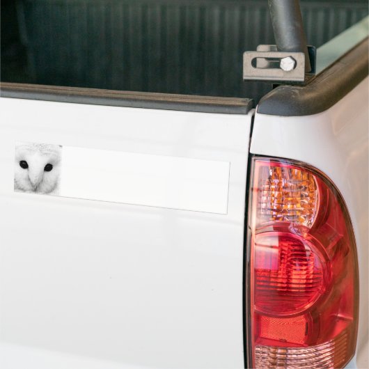 Snowy Owl Bumpersticker (Op Truck)