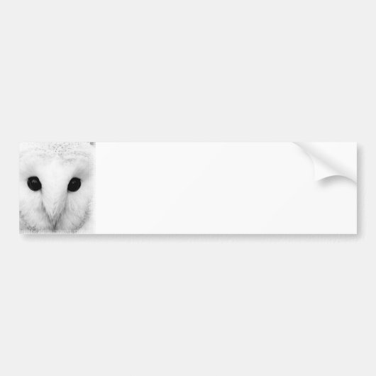 Snowy Owl Bumpersticker (Voorkant)