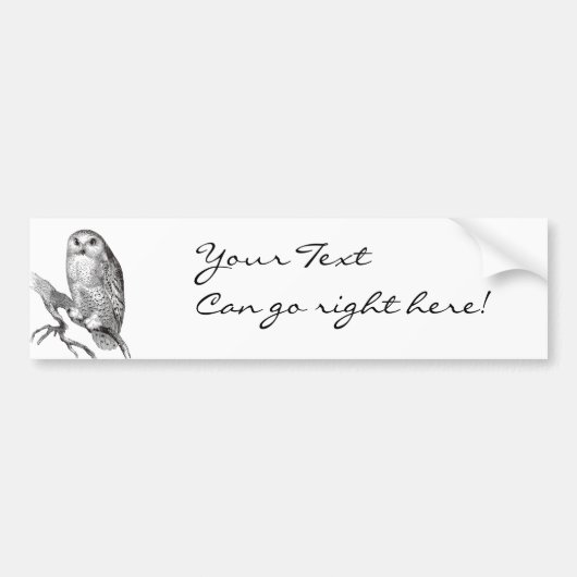 Snowy Owl Bumpersticker (Voorkant)