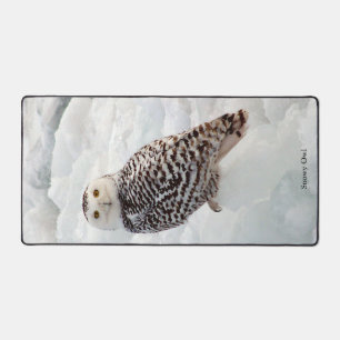 Snowy Owl bureaumat