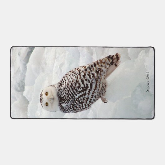Snowy Owl bureaumat (Voorkant)