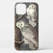 Snowy Owl by Audubon Case-Mate iPhone Case (Achterkant)