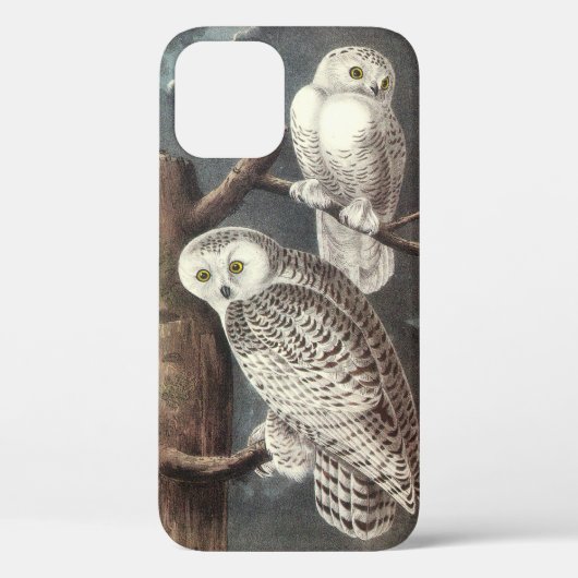 Snowy Owl by Audubon Case-Mate iPhone Case (Achterkant)