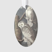 Snowy Owl by Audubon Ornament (voorkant)