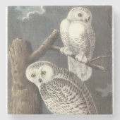 Snowy Owl by Audubon Stenen Onderzetter (Voorkant)