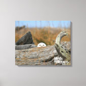Snowy Owl Canvas Afdruk (Voorkant)
