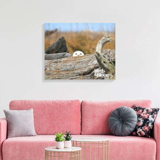 Snowy Owl Canvas Afdruk (Insitu (Woonkamer))
