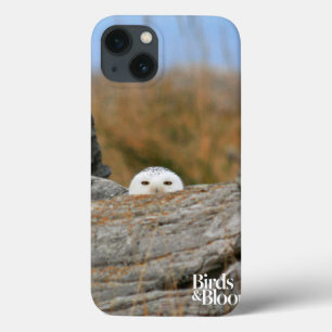 Snowy Owl Case-Mate iPhone Case