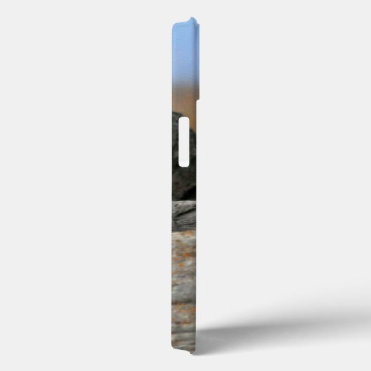 Snowy Owl Case-Mate iPhone Case (Achterkant / Rechts)