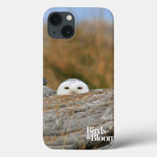 Snowy Owl Case-Mate iPhone Case