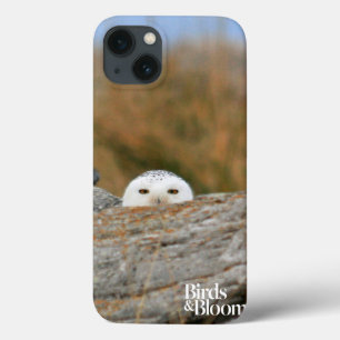 Snowy Owl iPhone 13 Hoesje
