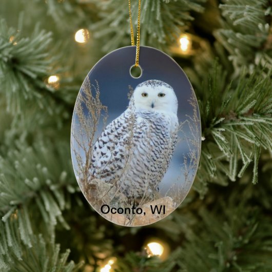 Snowy Owl Ceramic Ornament (Boom)