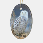 Snowy Owl Ceramic Ornament (Links)