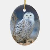 Snowy Owl Ceramic Ornament (Voorkant)