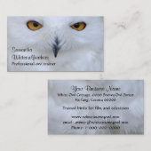 Snowy owl close-up foto visitekaartje (Voorkant / Achterkant)