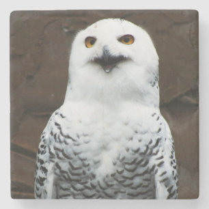 Snowy Owl coastercn Stenen Onderzetter